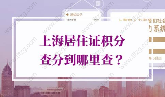 2022年上海居住证积分查分到哪里查